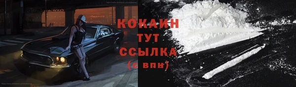 ГАЛЛЮЦИНОГЕННЫЕ ГРИБЫ Алзамай