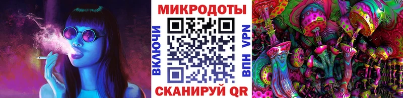 KRAKEN tor  Ахтубинск  Галлюциногенные грибы Magic Shrooms  где можно купить наркотик 